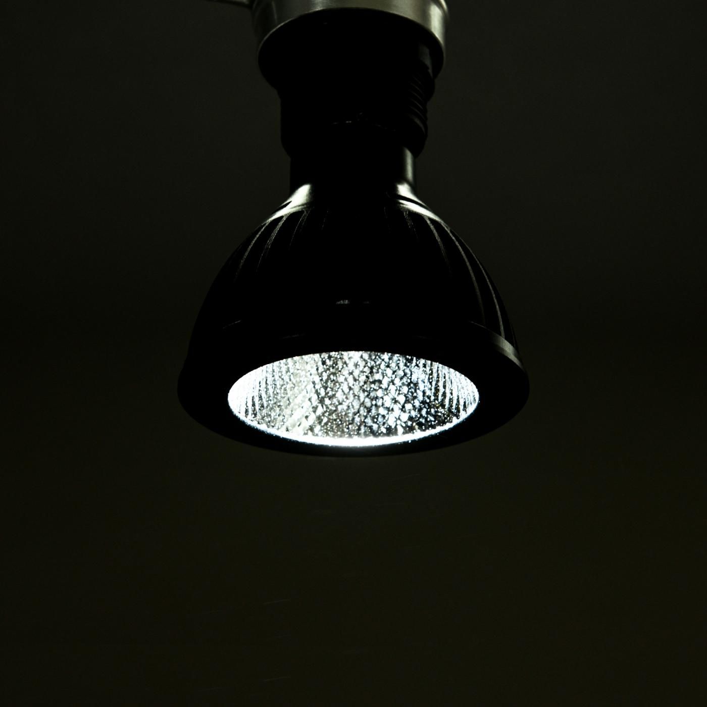 AMATERAS LED 10W 植物育成LED