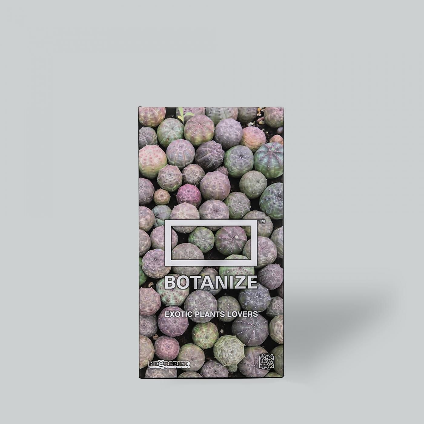 BE@RBRICK × BOTANIZE  400%