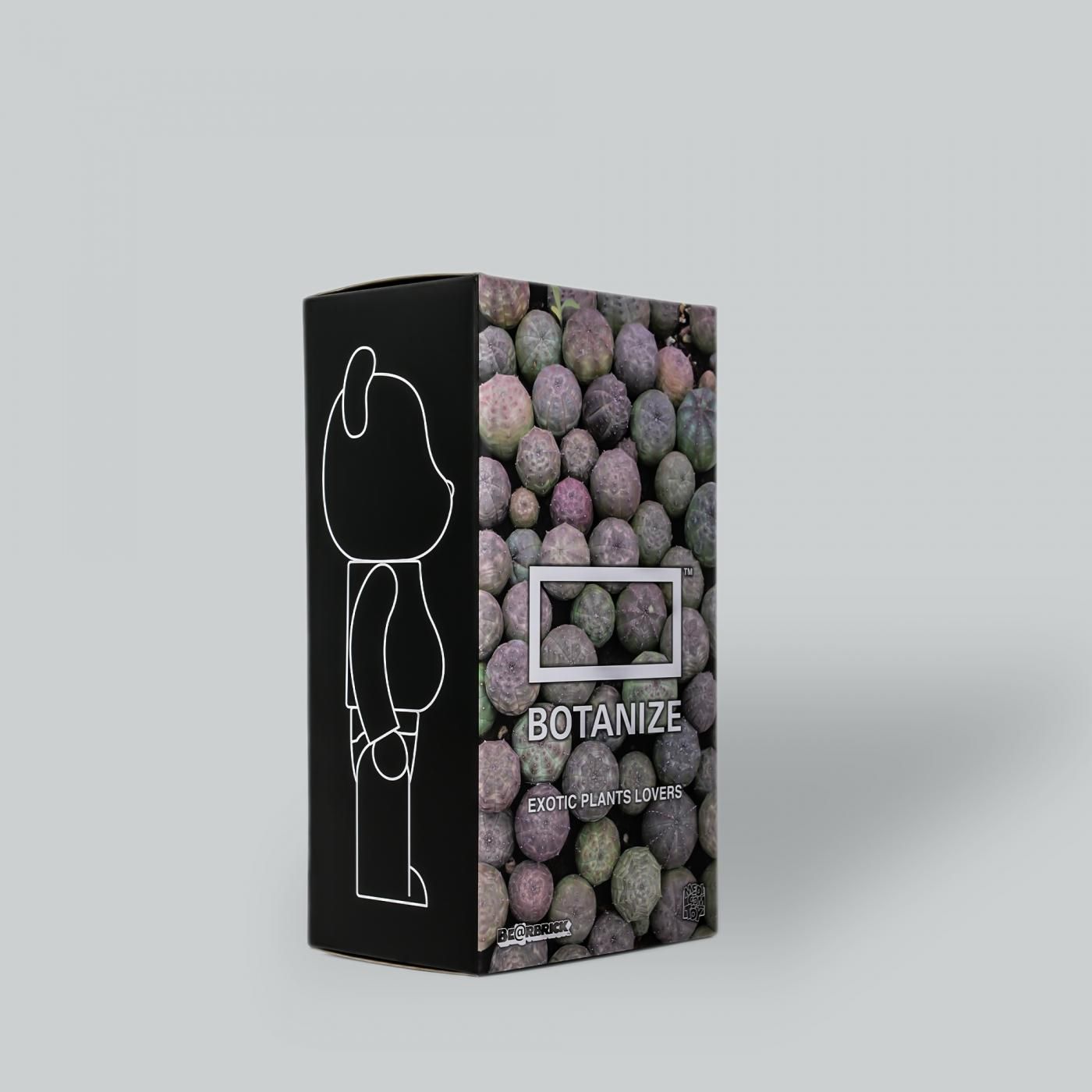 BE@RBRICK × BOTANIZE  400%