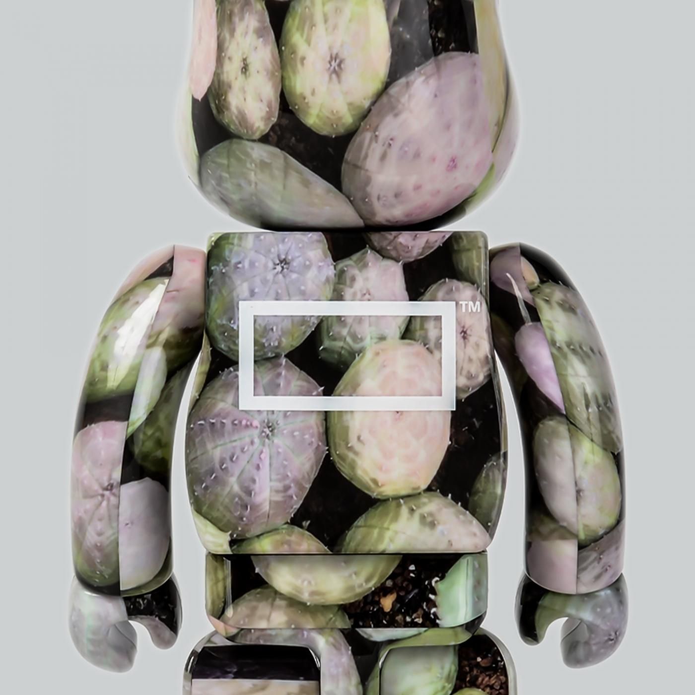 BE@RBRICK × BOTANIZE  400%