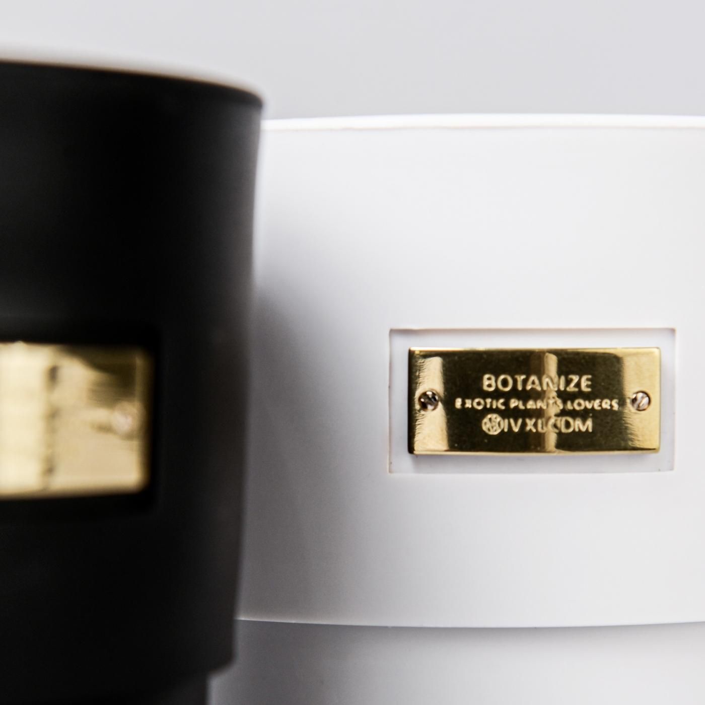 IVXLCDM × BOTANIZE PLA POT  BLACK/WHITE set φ9.5cm