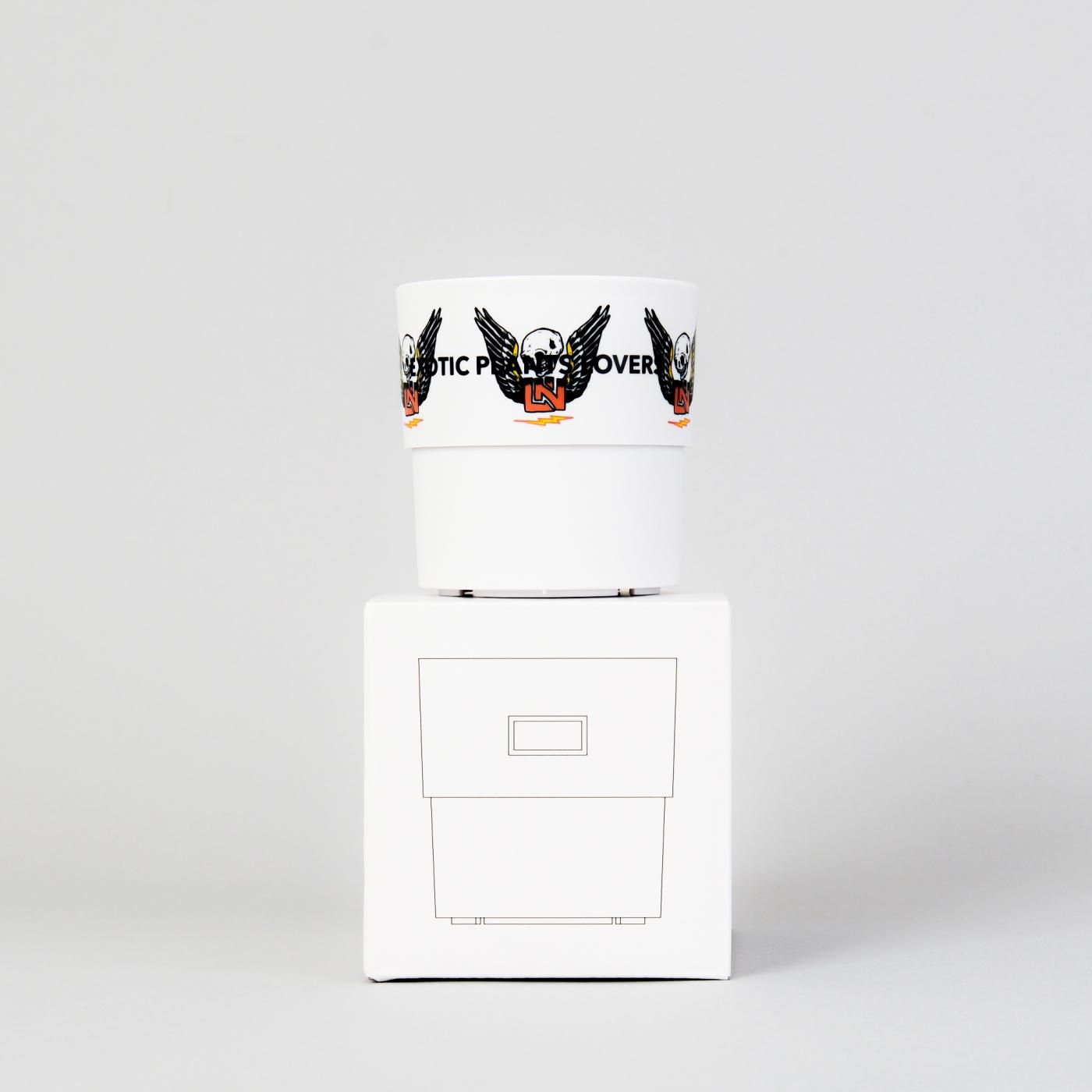 UNKINDNESS × BOTANIZE  PLA POT White A φ9.5cm