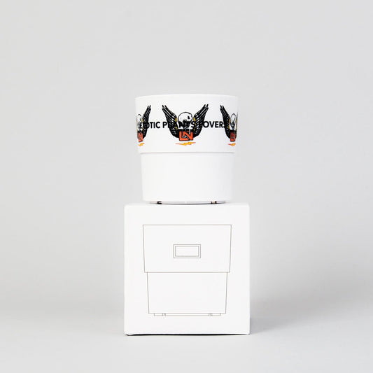 UNKINDNESS × BOTANIZE  PLA POT White A φ9.5cm