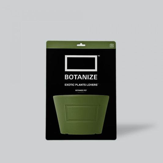 MEDICOM TOY × BOTANIZE  Pot  KHAKI  φ12.2cm