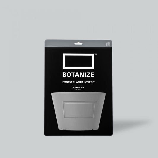 MEDICOM TOY × BOTANIZE  Pot  GRAY  φ12.2cm