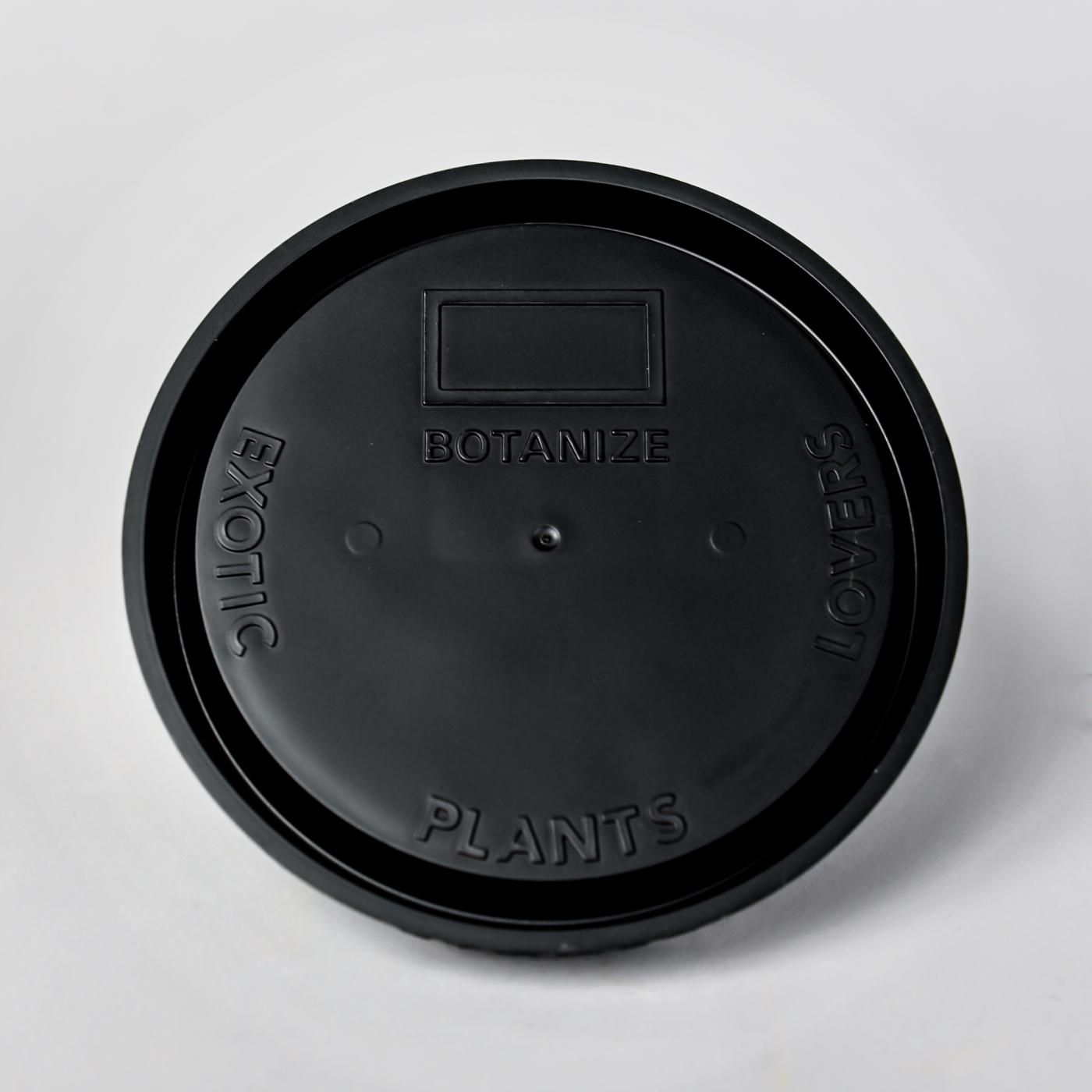 BOTANIZE PLA PLATE “Black” φ11.5cm