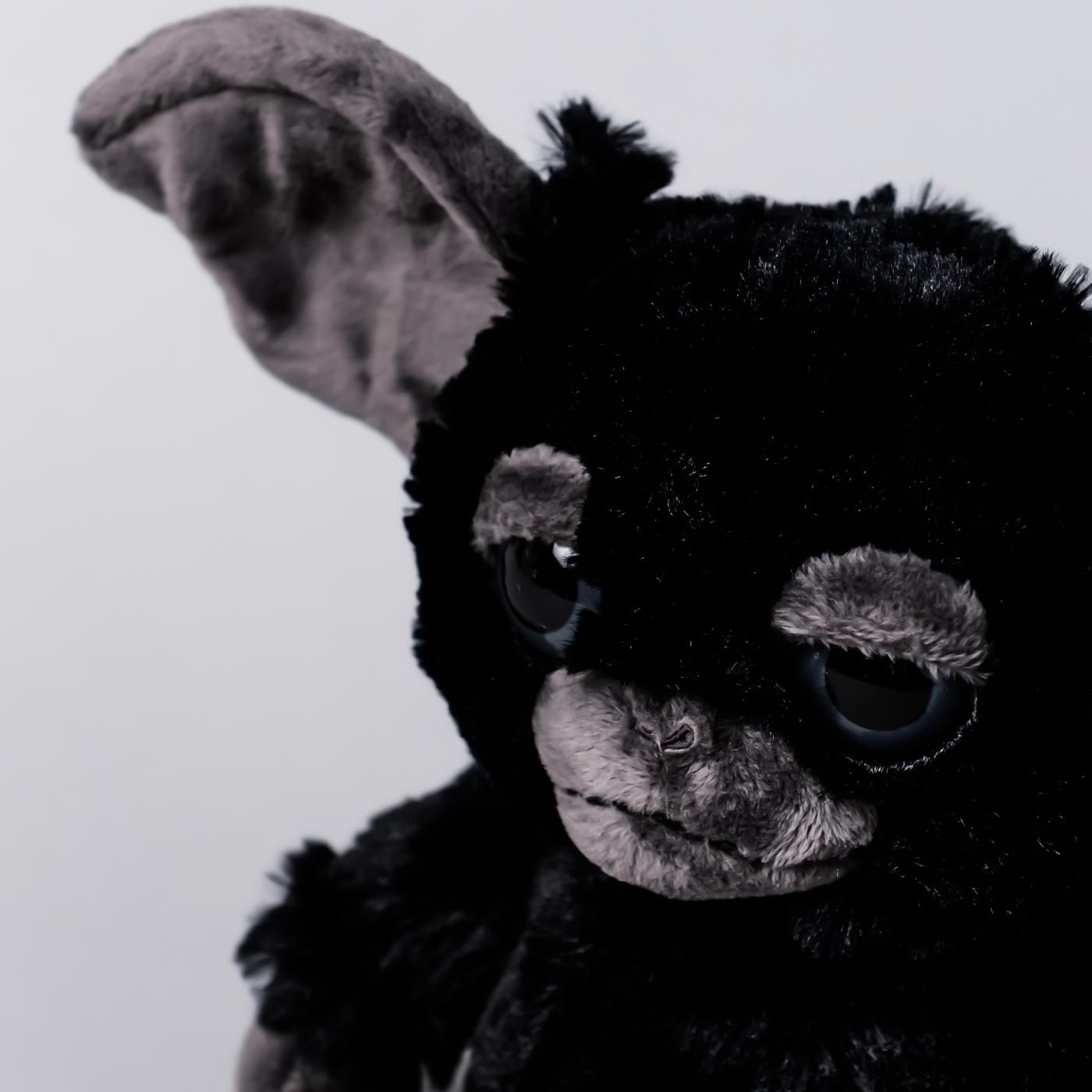 GREMLiNS × BOTANIZE black