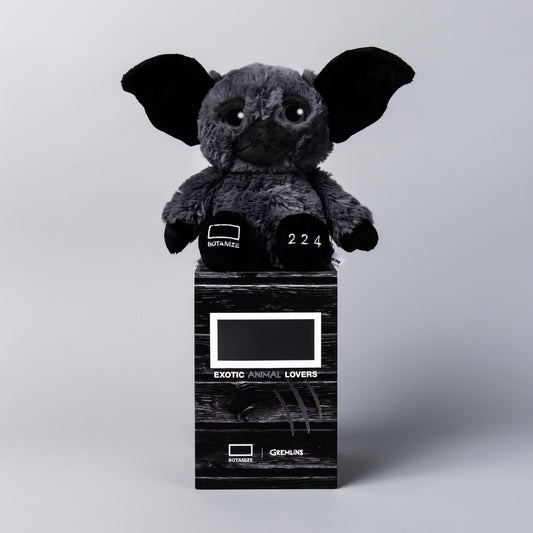 GREMLiNS × BOTANIZE gray