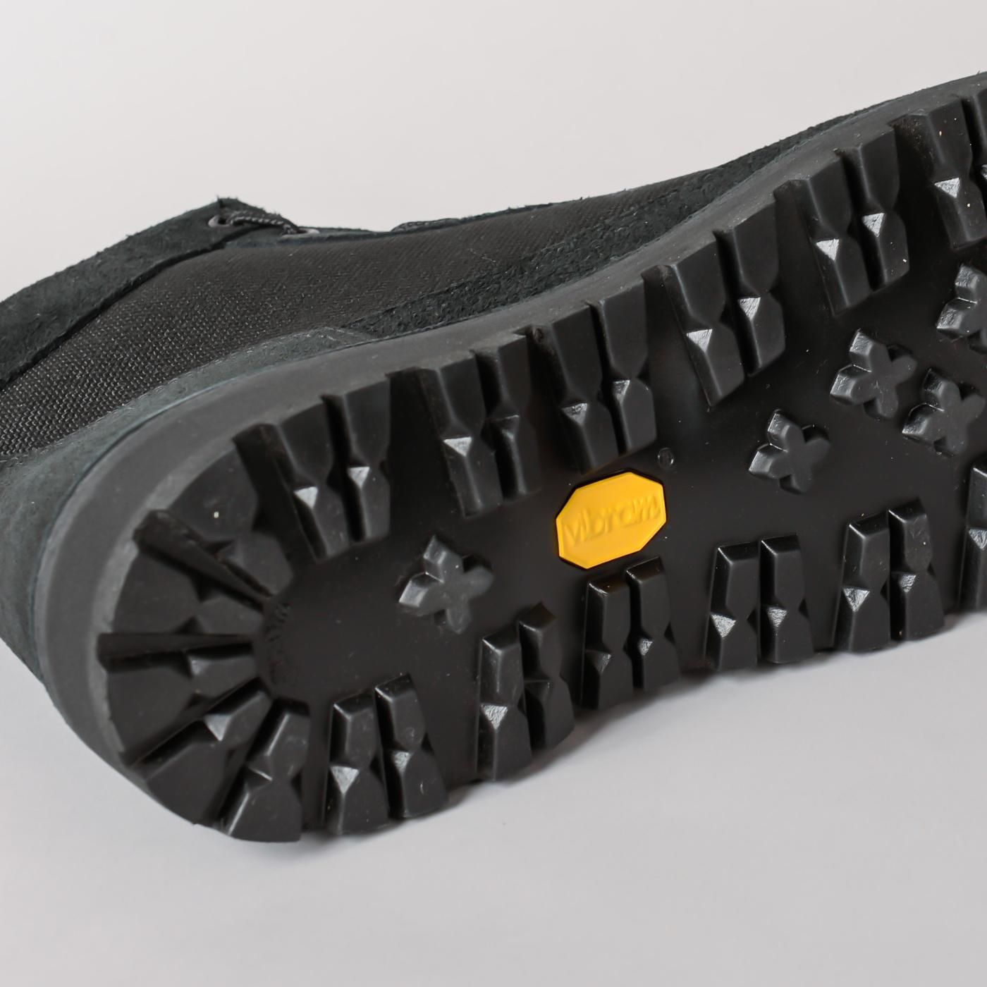 DANNER LIGHT × BOTANIZE