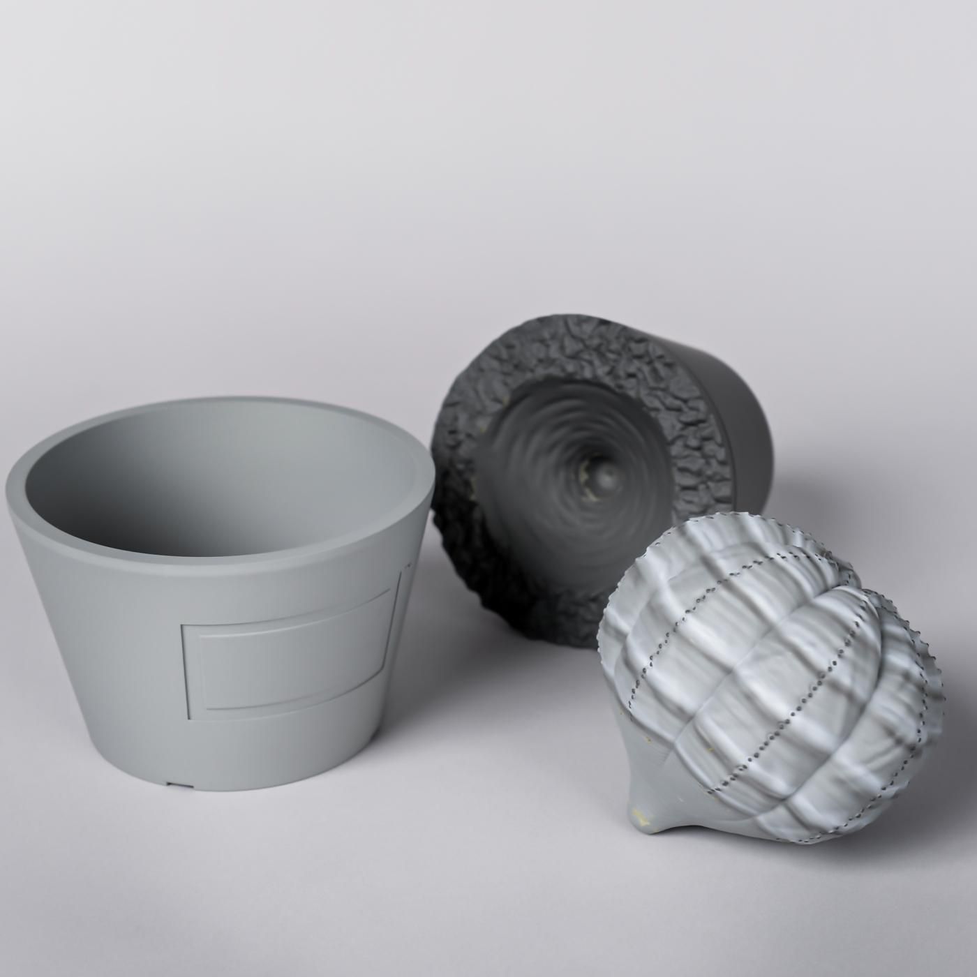 VCD Euphorbia obesa var.GRAY