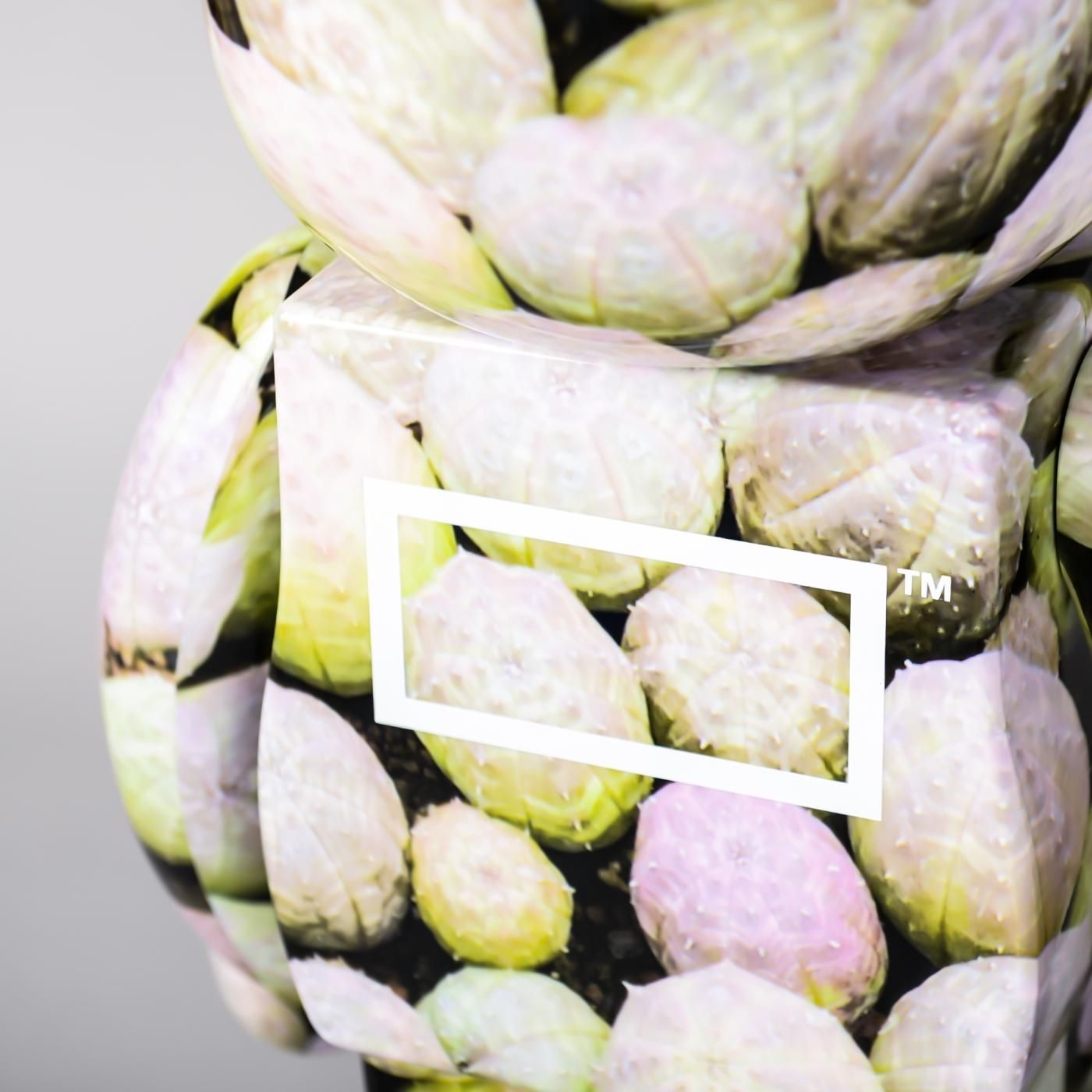 BE@RBRICK BOTANIZE 1000%