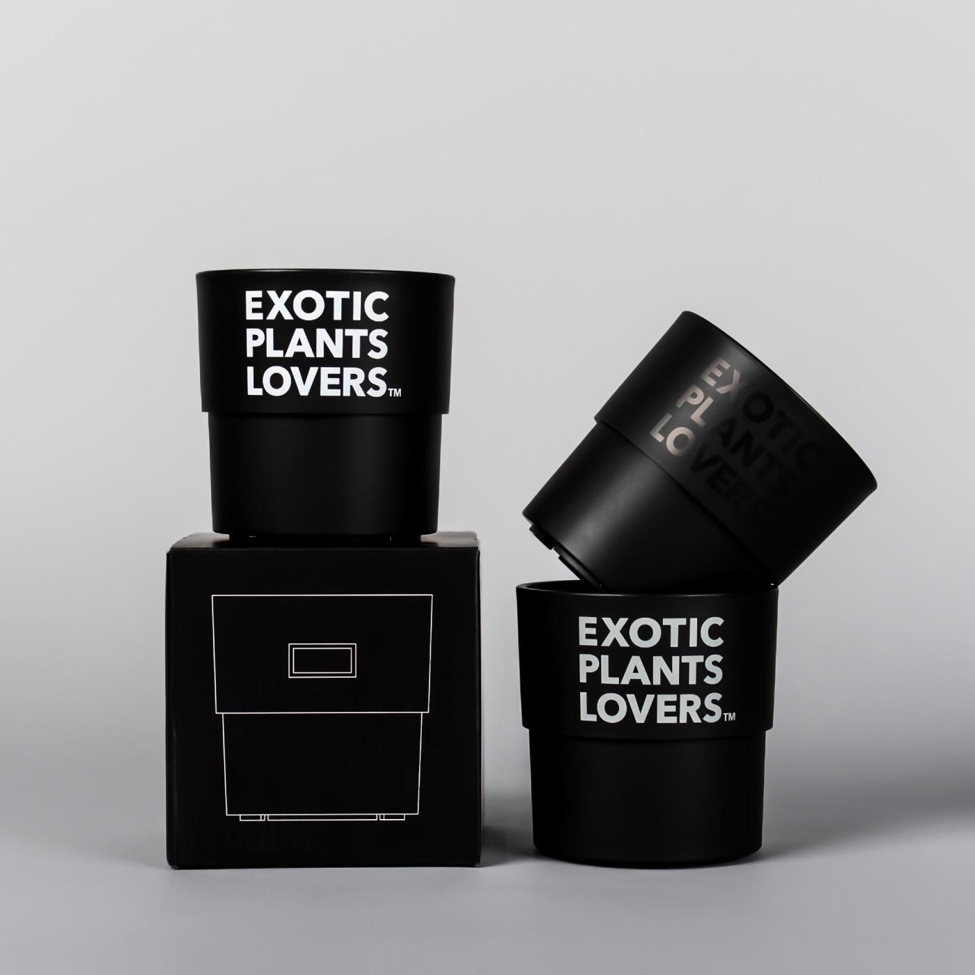 工場直売 BOTANIZE PLA POT EXOTIC PLANTS LOVERS 3pcs(1set) φ9.5cm フラワー・ガーデニング