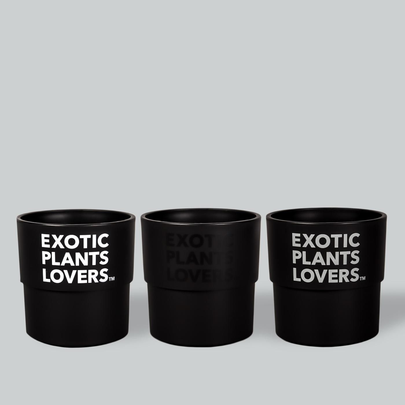 BOTANIZE PLA POT EXOTIC PLANTS LOVERS  3pcs(1set)  φ9.5cm