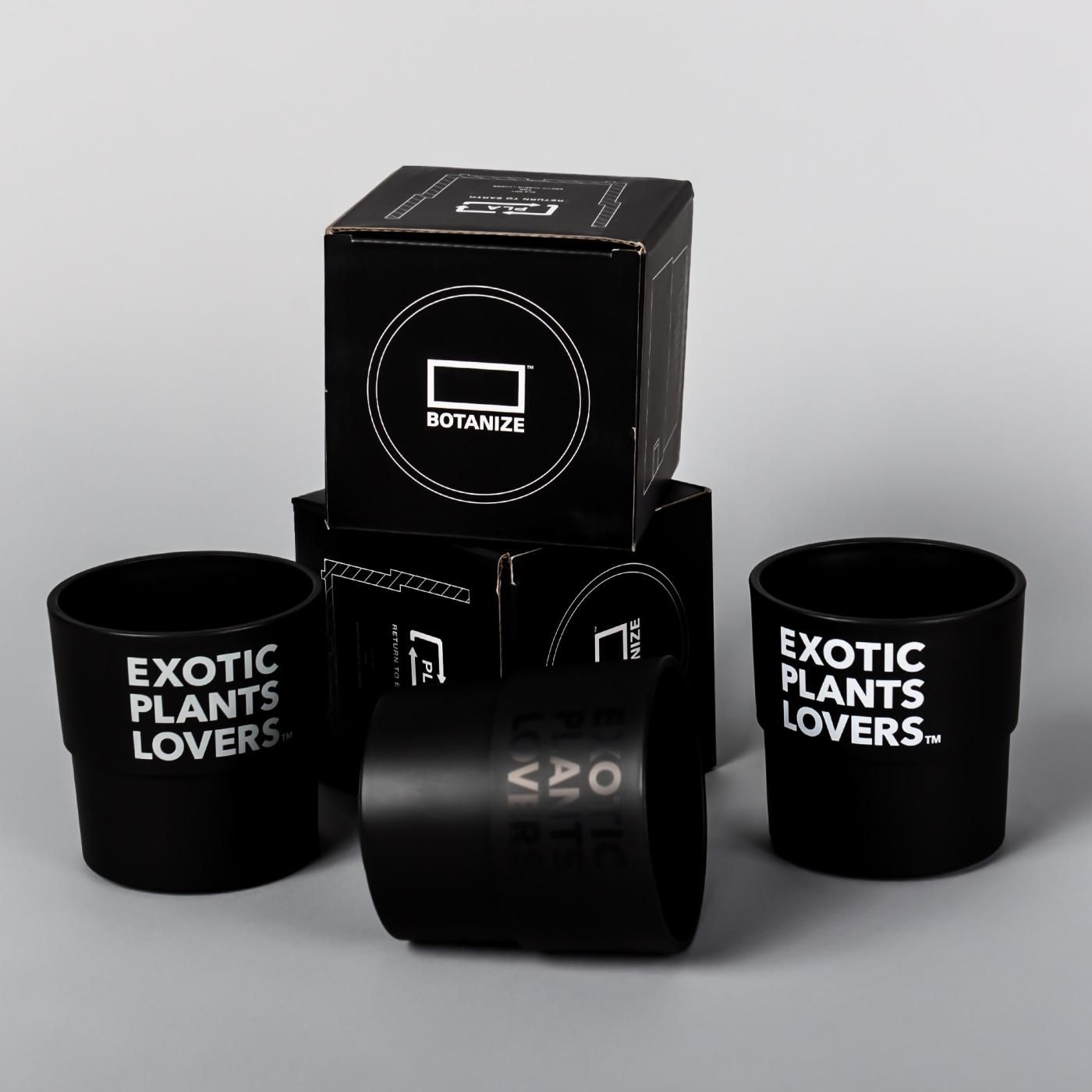 BOTANIZE PLA POT EXOTIC PLANTS LOVERS  3pcs(1set)  φ9.5cm