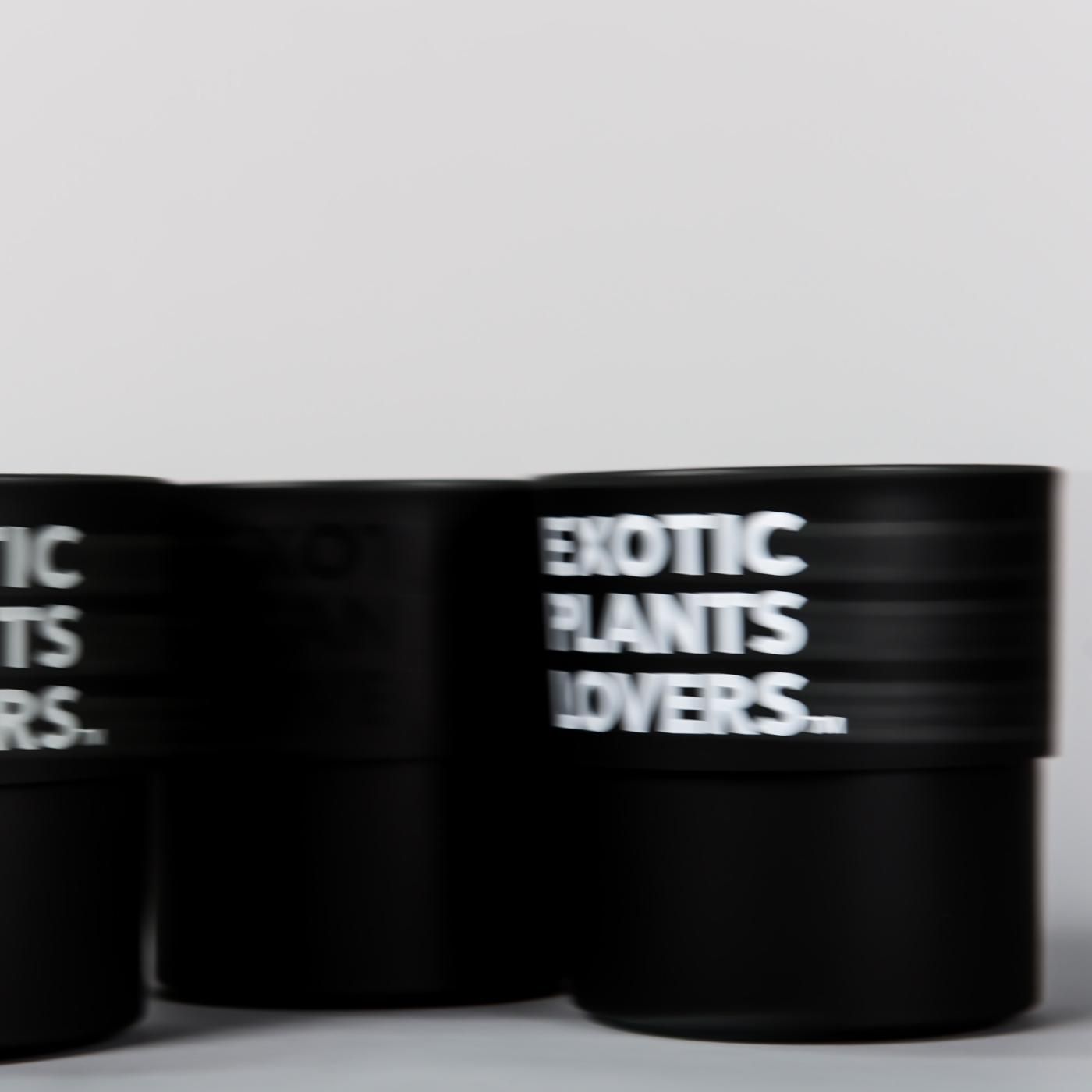 BOTANIZE PLA POT EXOTIC PLANTS LOVERS  3pcs(1set)  φ9.5cm