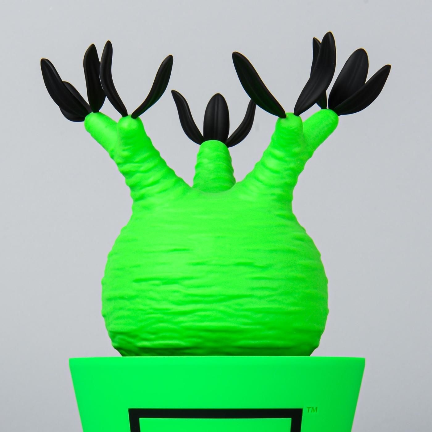 VCD Pachypodium Gracilius Fluorescent Green & Black