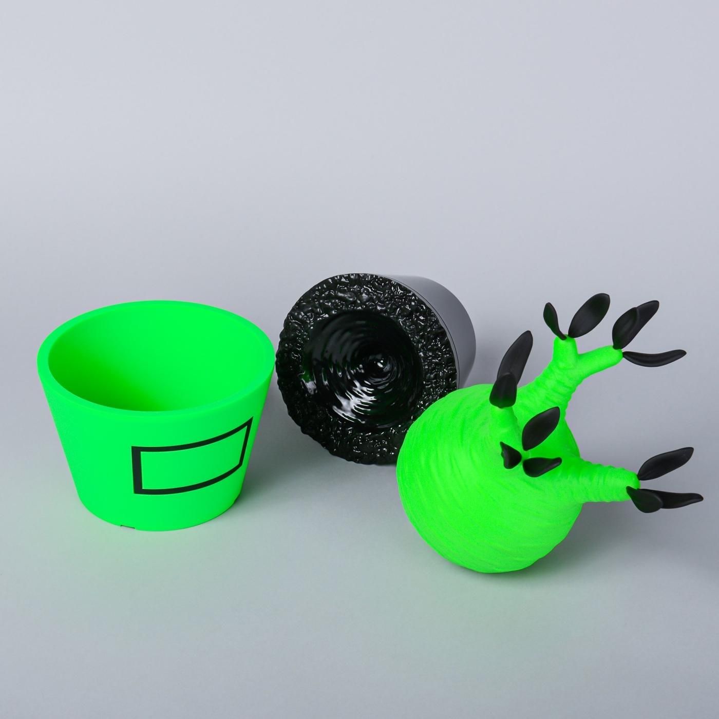 VCD Pachypodium Gracilius Fluorescent Green & Black