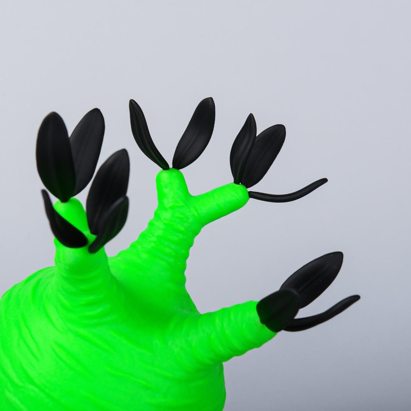 VCD Pachypodium Gracilius Fluorescent Green & Black