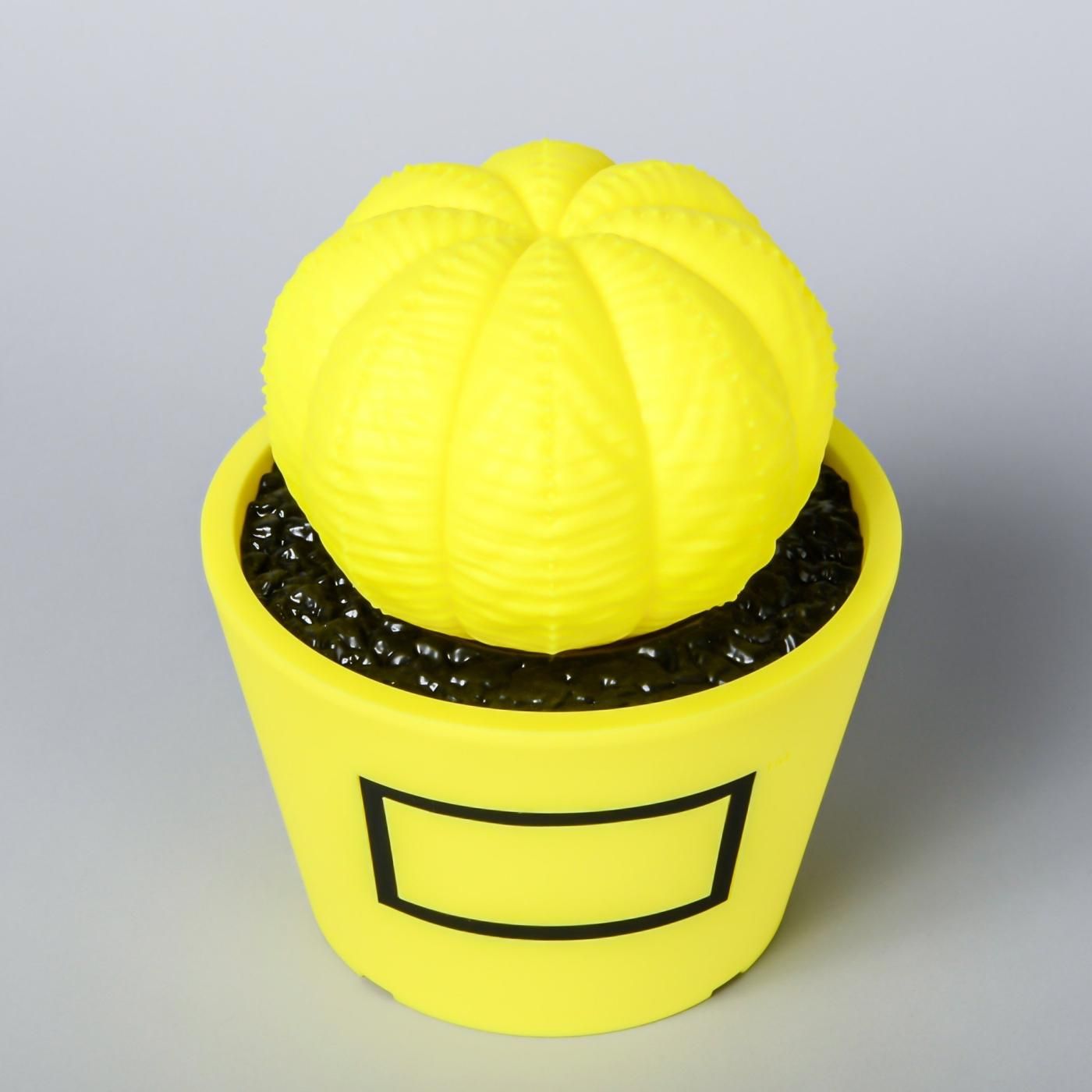 VCD Euphorbia obesa Fluorescent Yellow & Black