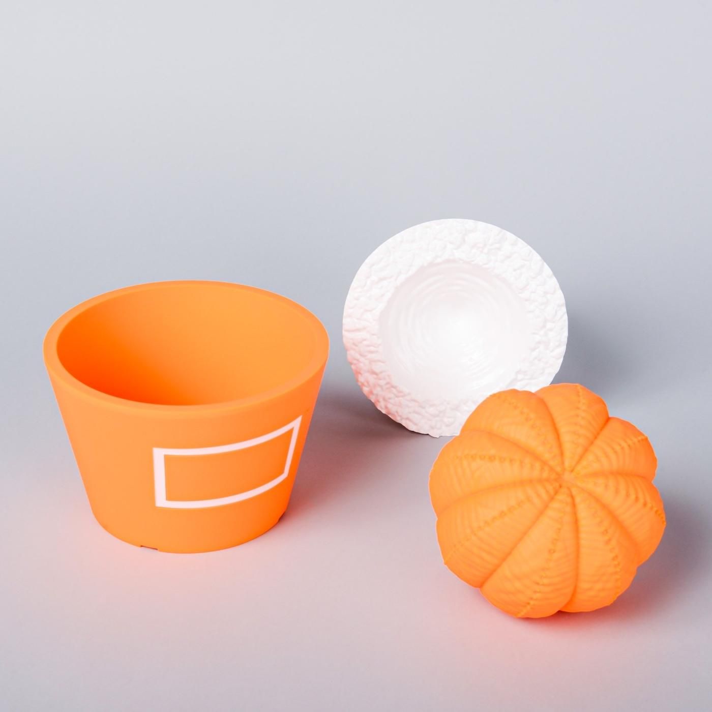 VCD Euphorbia obesa Fluorescent Orange & White