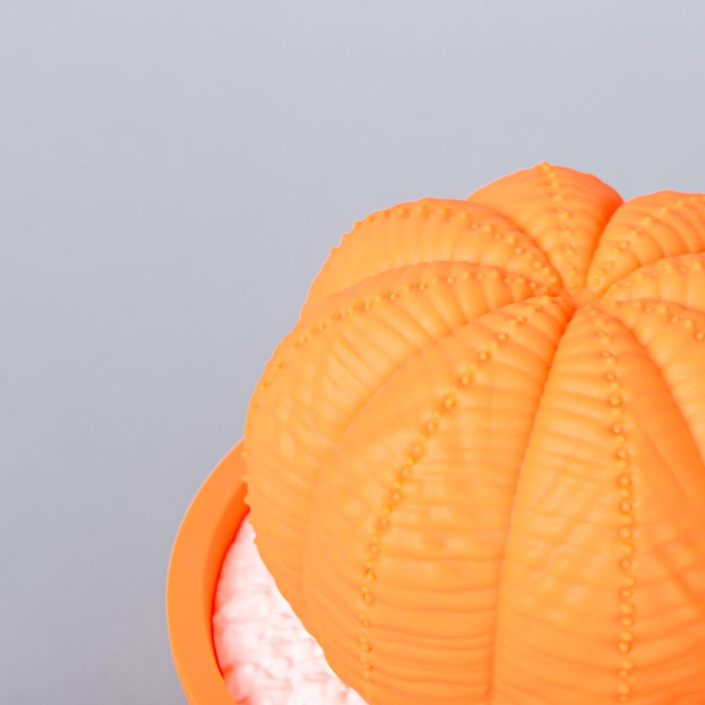 VCD Euphorbia obesa Fluorescent Orange & White