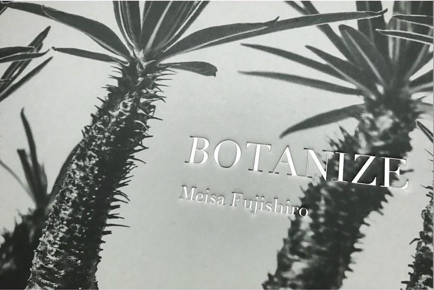“BOTANIZE”MEISA FUJISHIRO