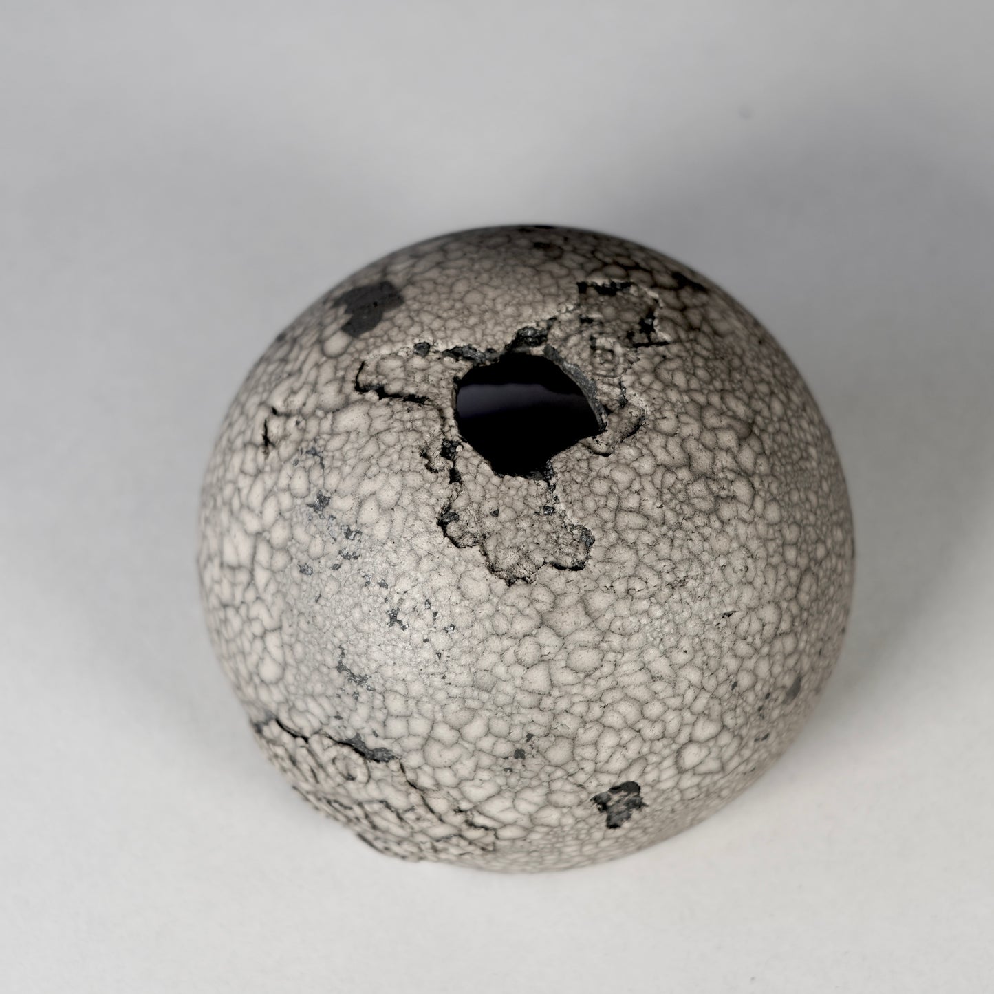 SAITO × BOTANIZE 〝RANKAKU〟BOTANIZE sp 約φ90mm