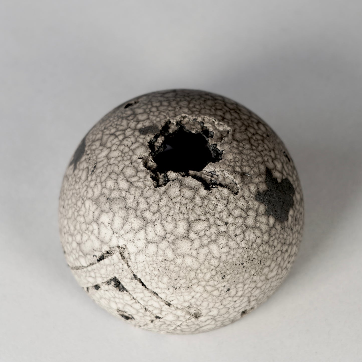 SAITO × BOTANIZE 〝RANKAKU〟BOTANIZE sp 約φ90mm