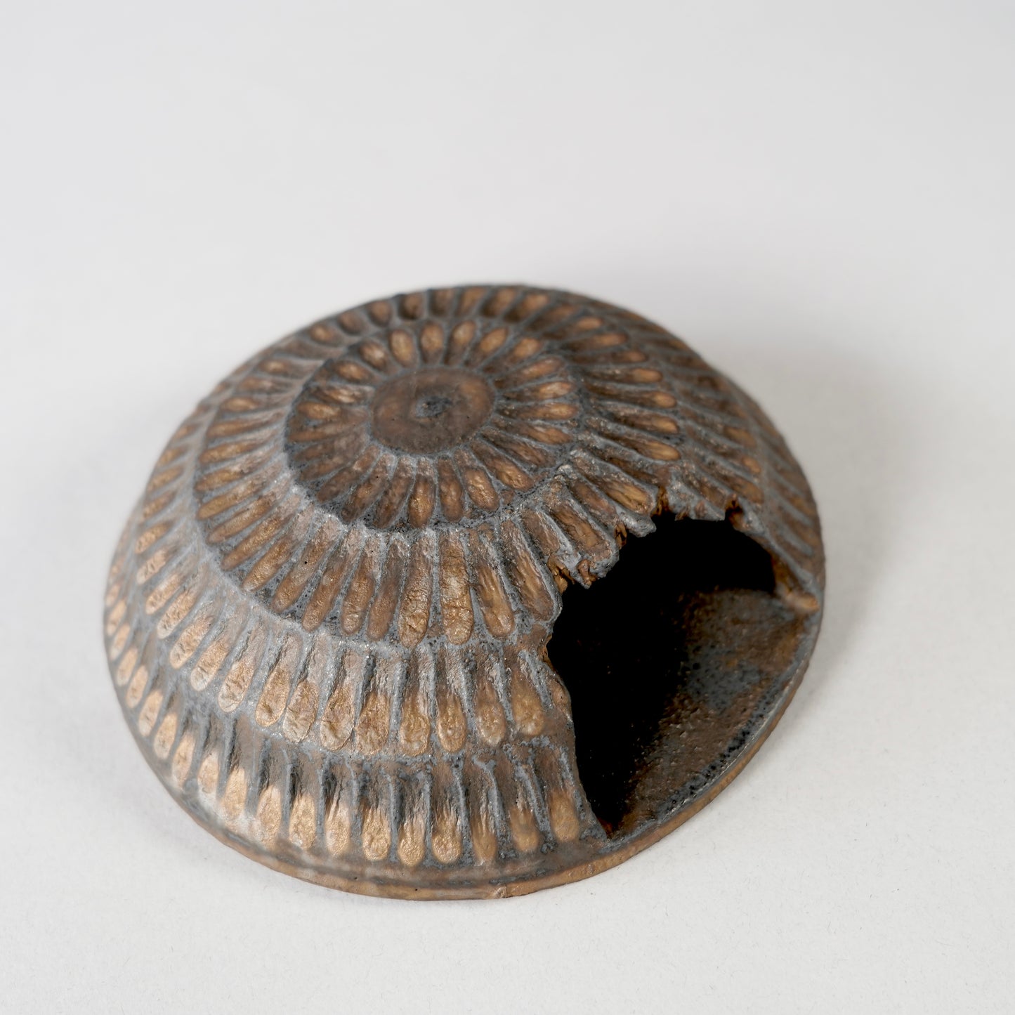 GOUJIN × BOTANIZE 〝Objet〟 --掛花--