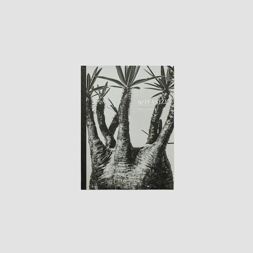 “BOTANIZE”MEISA FUJISHIRO