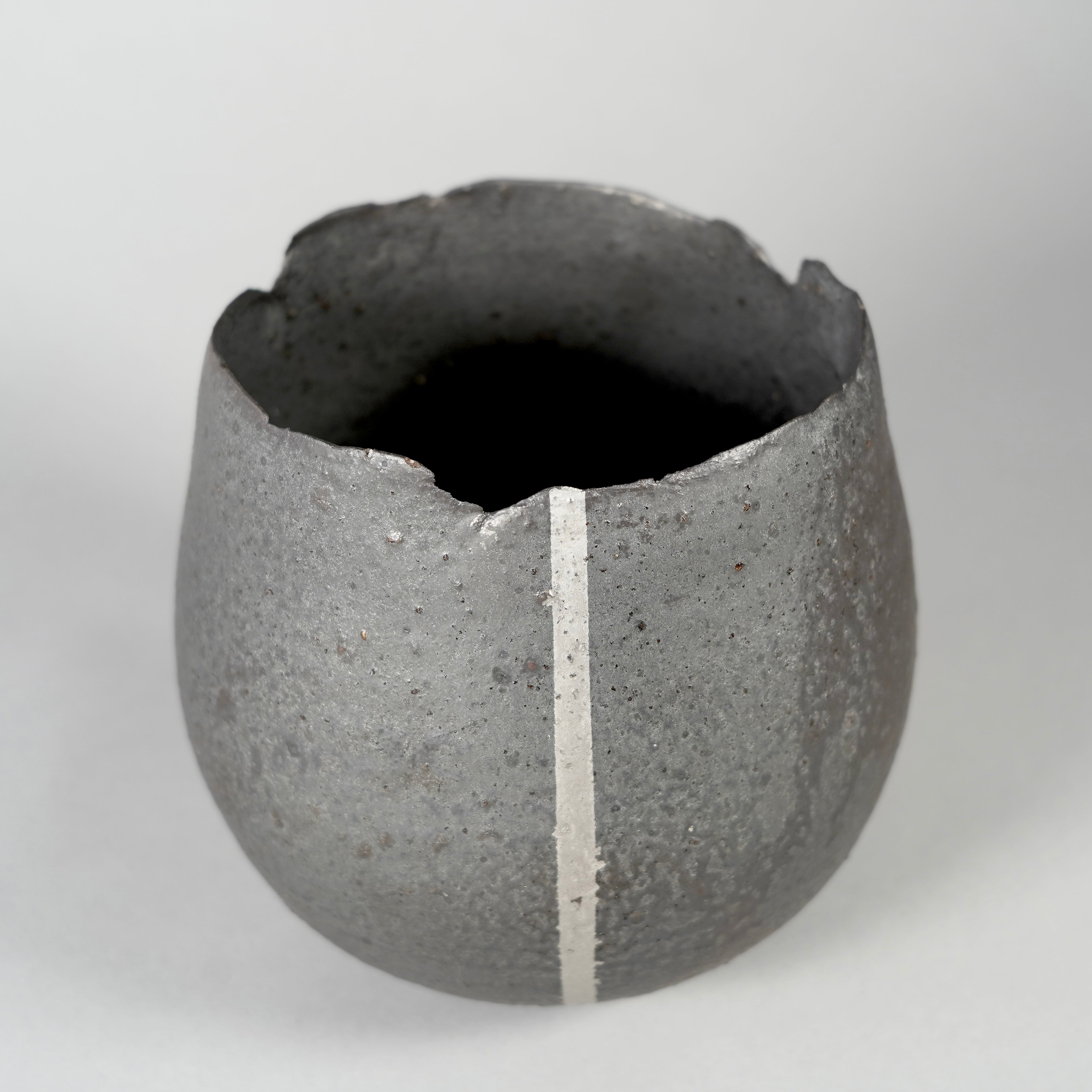 GOUJIN × BOTANIZE 〝黒燻銀彩〟B