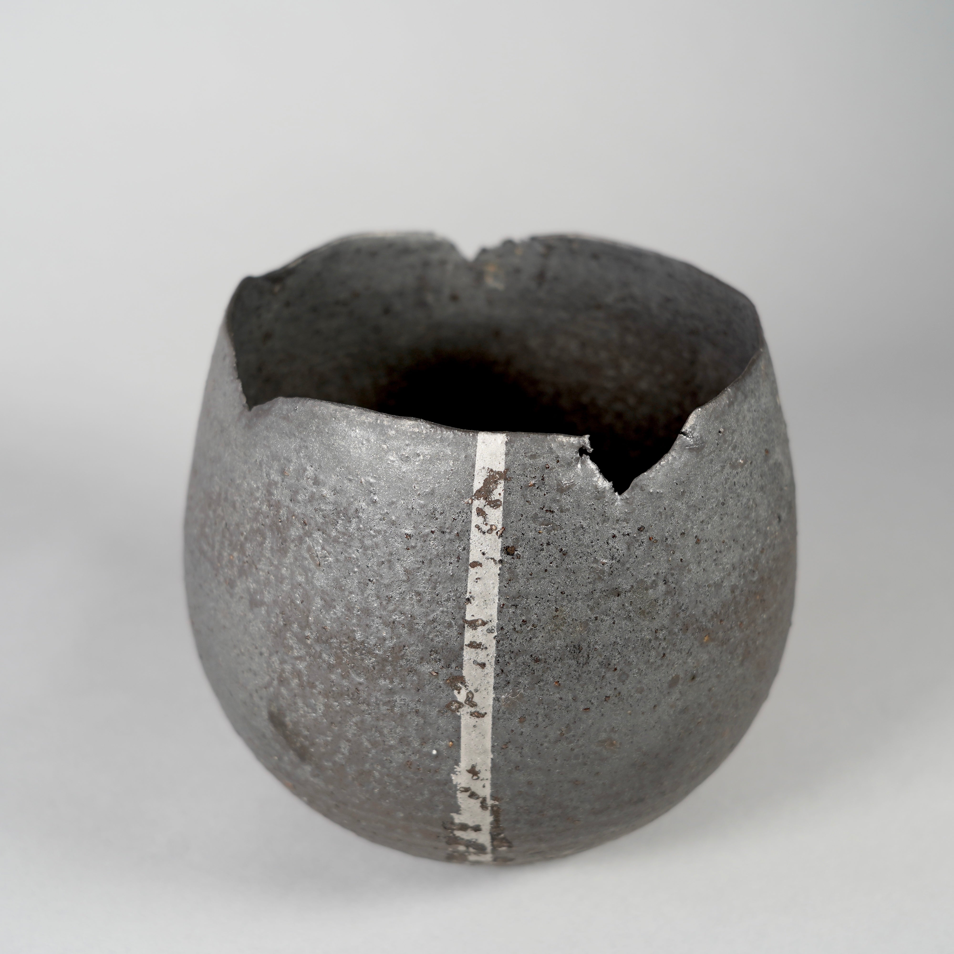 GOUJIN × BOTANIZE 〝黒燻銀彩〟I