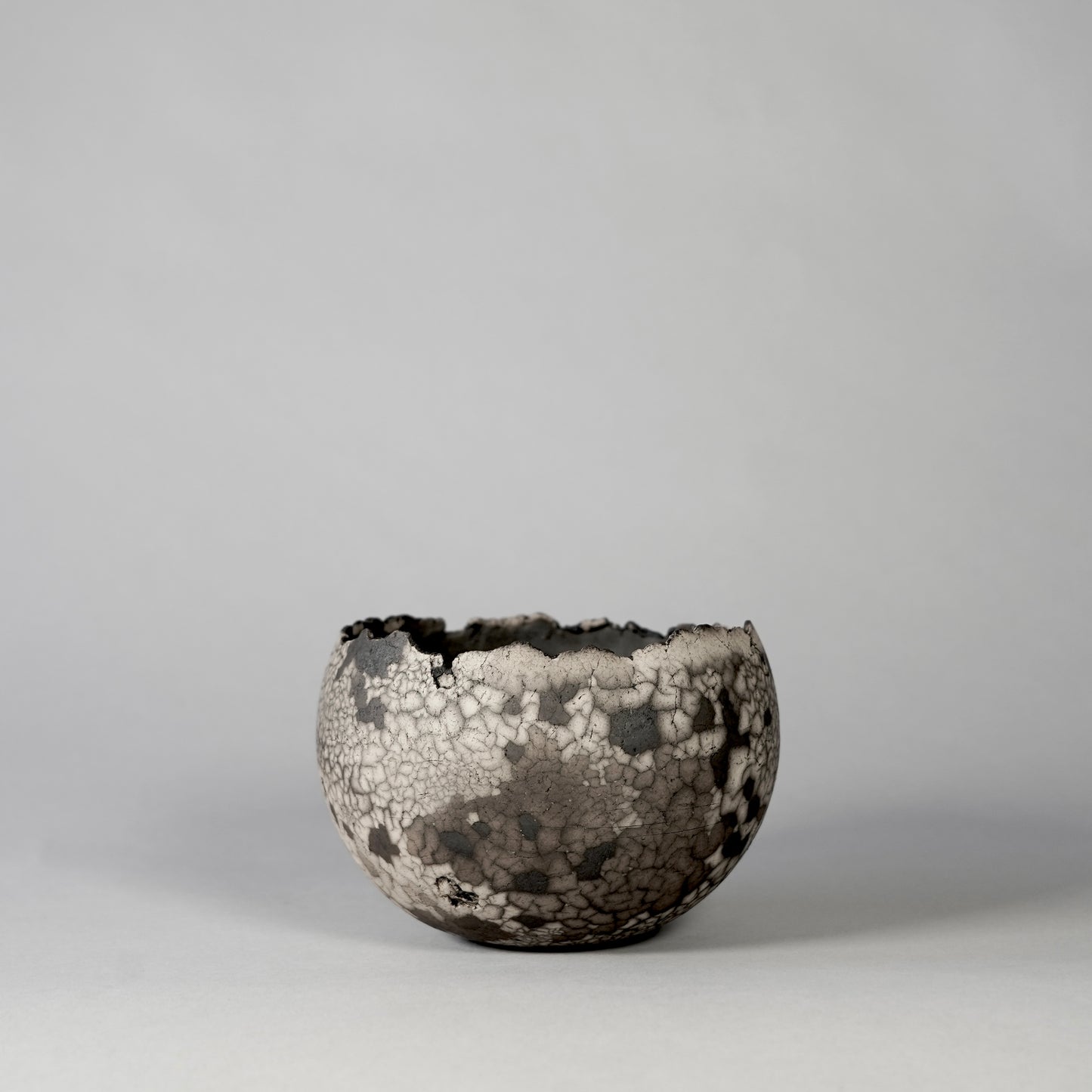 SAITO × BOTANIZE 〝RANKAKU〟BOTANIZE sp 約φ120mm