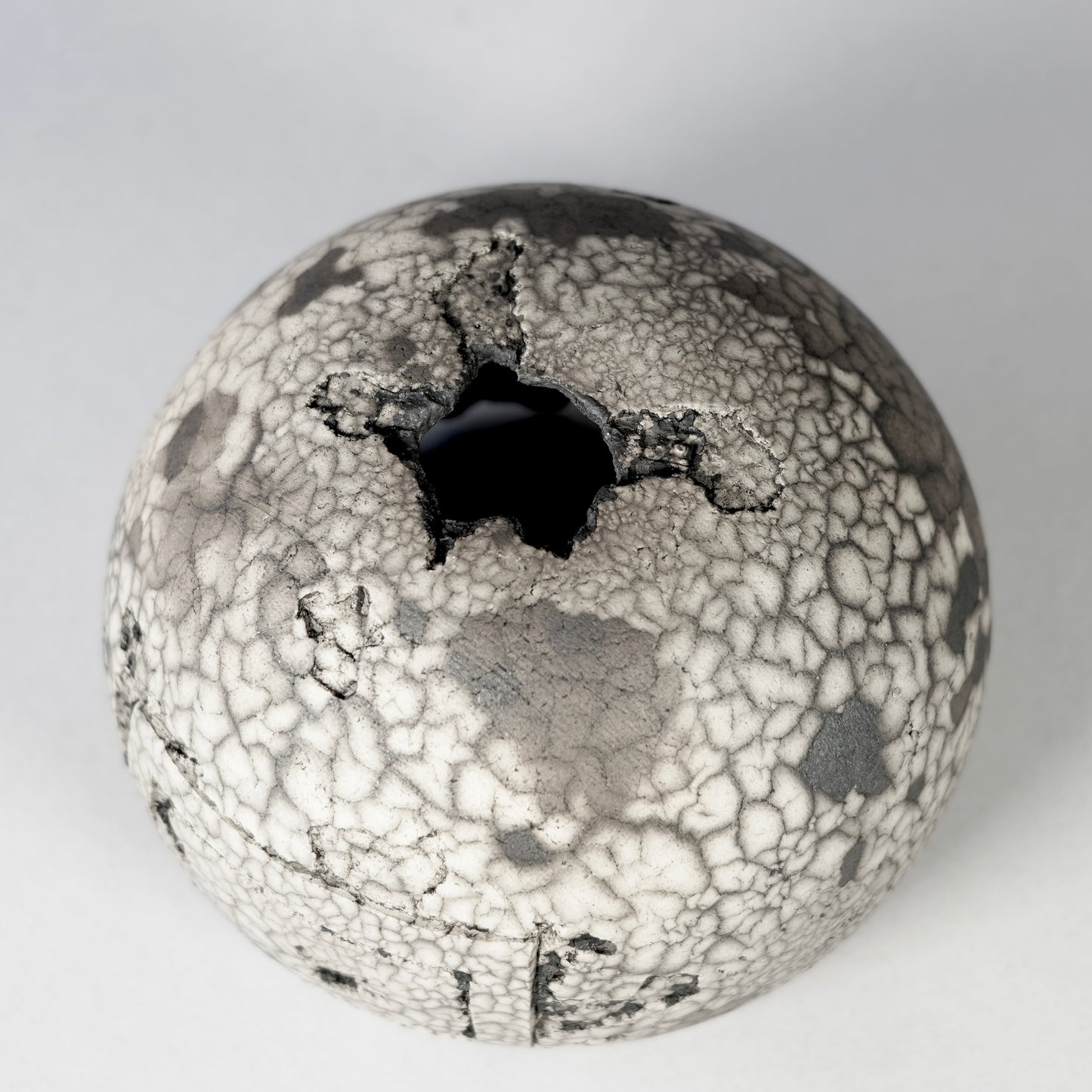 SAITO × BOTANIZE 〝RANKAKU〟BOTANIZE sp 約φ120mm