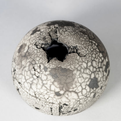 SAITO × BOTANIZE 〝RANKAKU〟BOTANIZE sp 約φ120mm