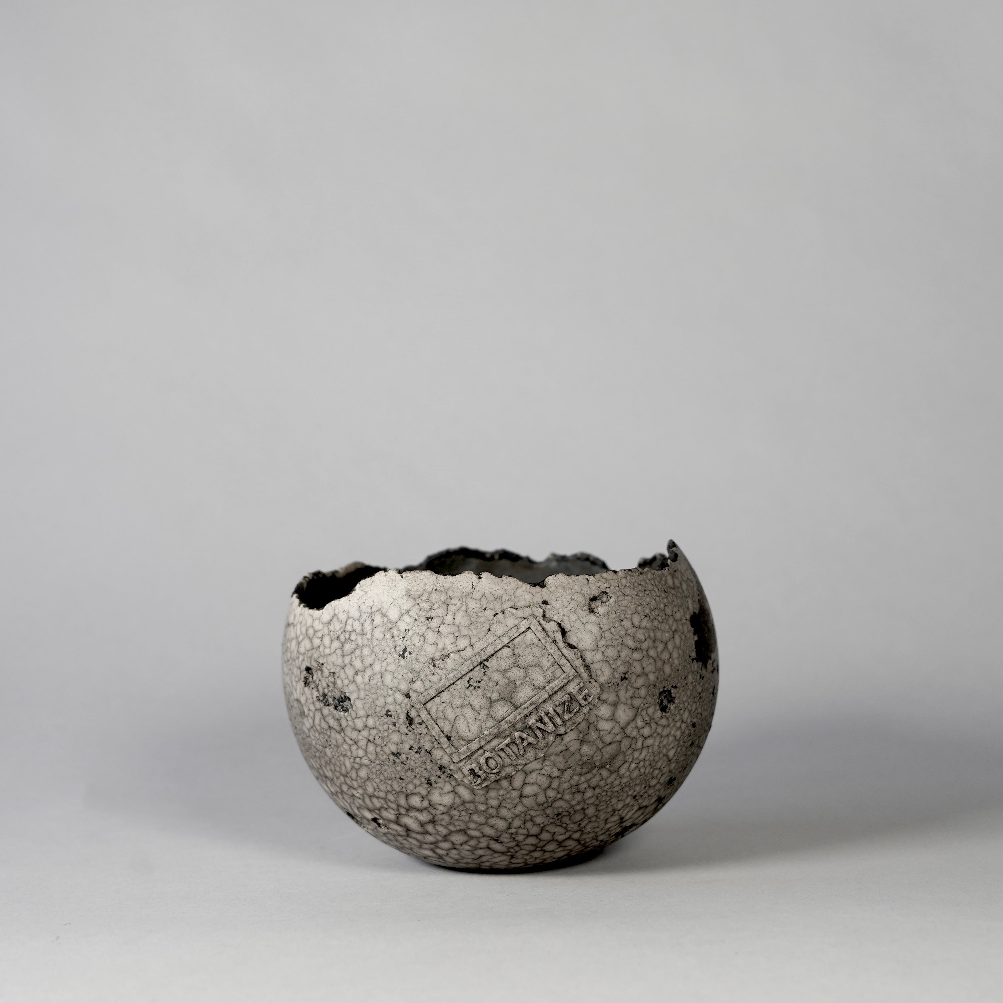 kenichi saito – BOTANIZE