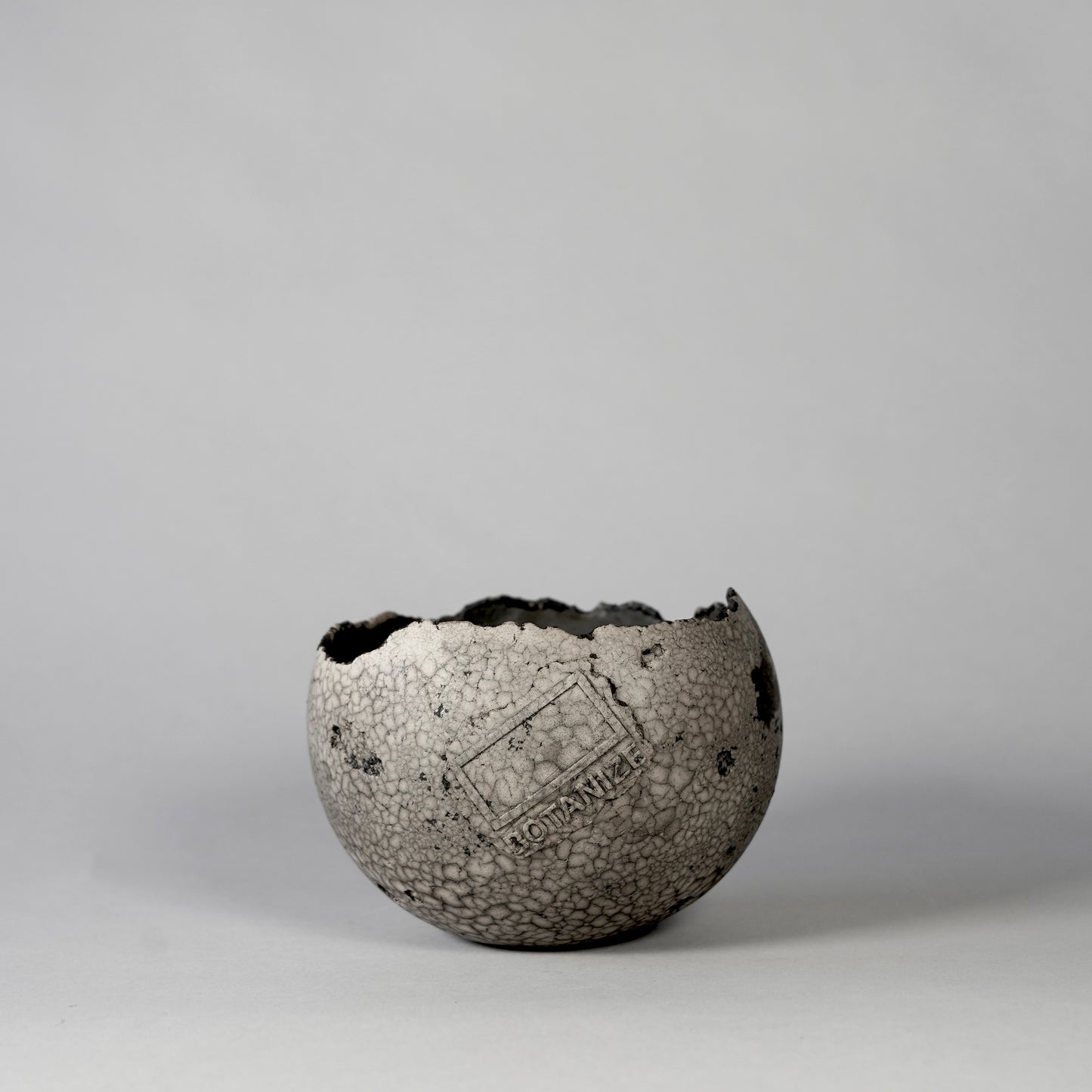 SAITO × BOTANIZE 〝RANKAKU〟BOTANIZE sp 約φ120mm