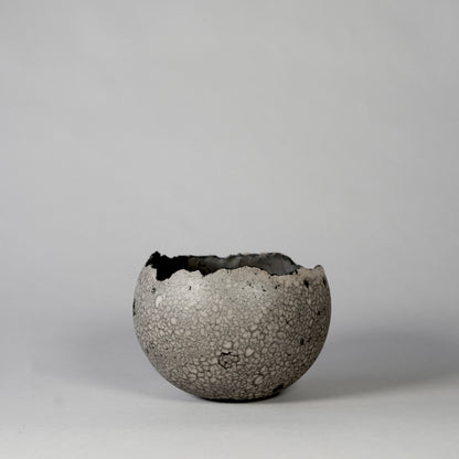 SAITO × BOTANIZE 〝RANKAKU〟BOTANIZE sp 約φ120mm