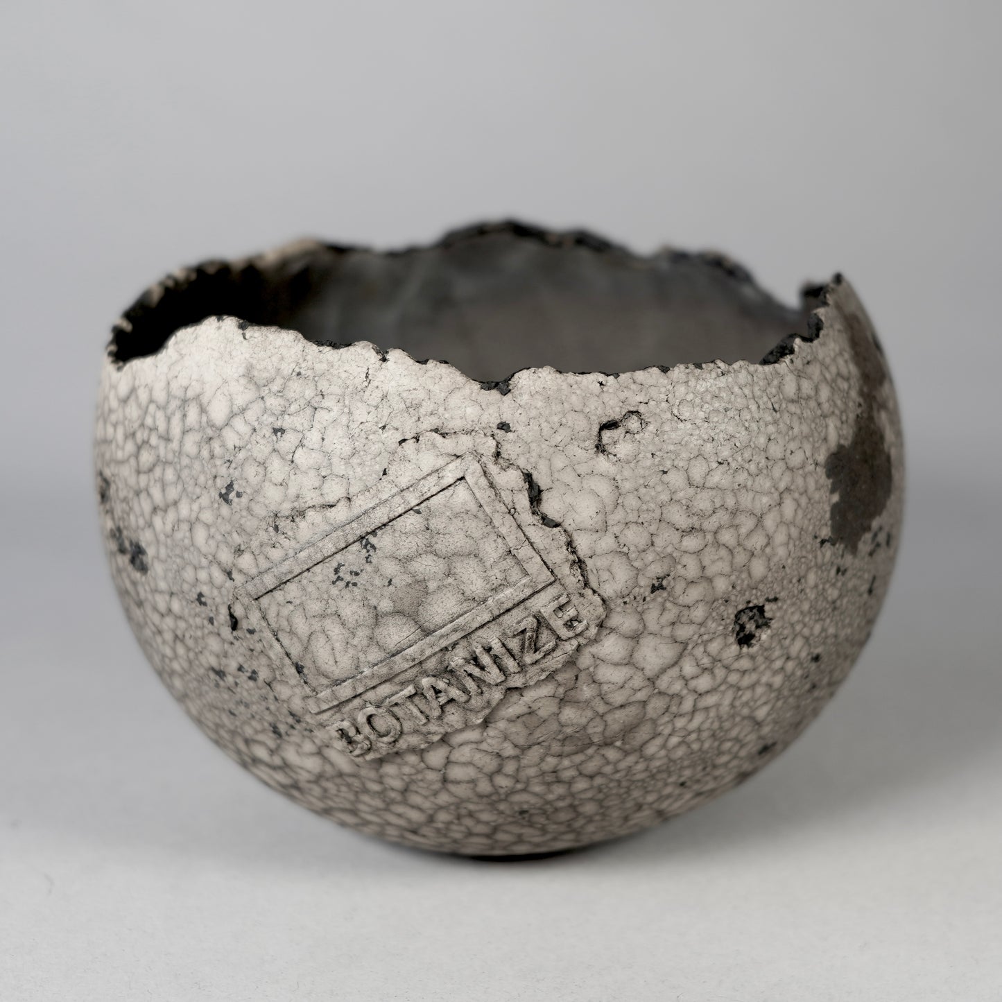 SAITO × BOTANIZE 〝RANKAKU〟BOTANIZE sp 約φ120mm