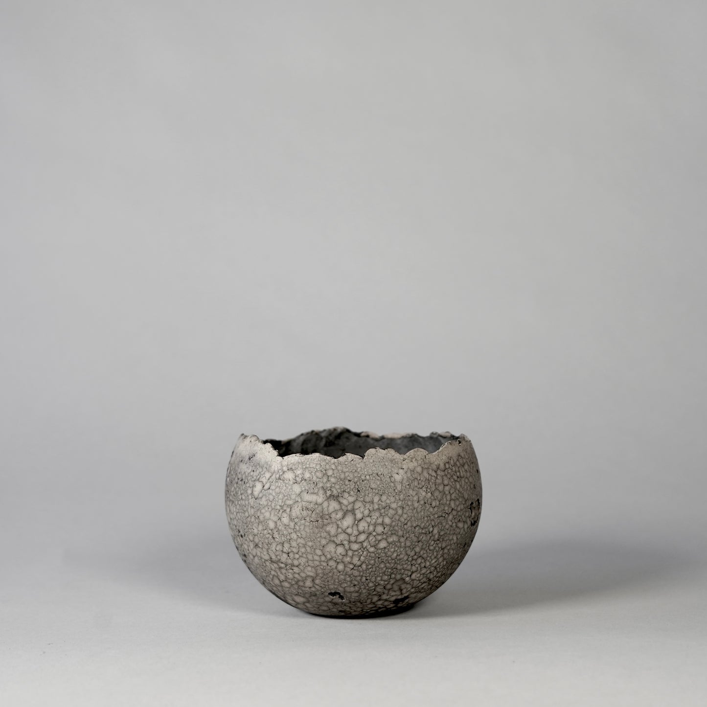 SAITO × BOTANIZE 〝RANKAKU〟BOTANIZE sp 約φ90mm