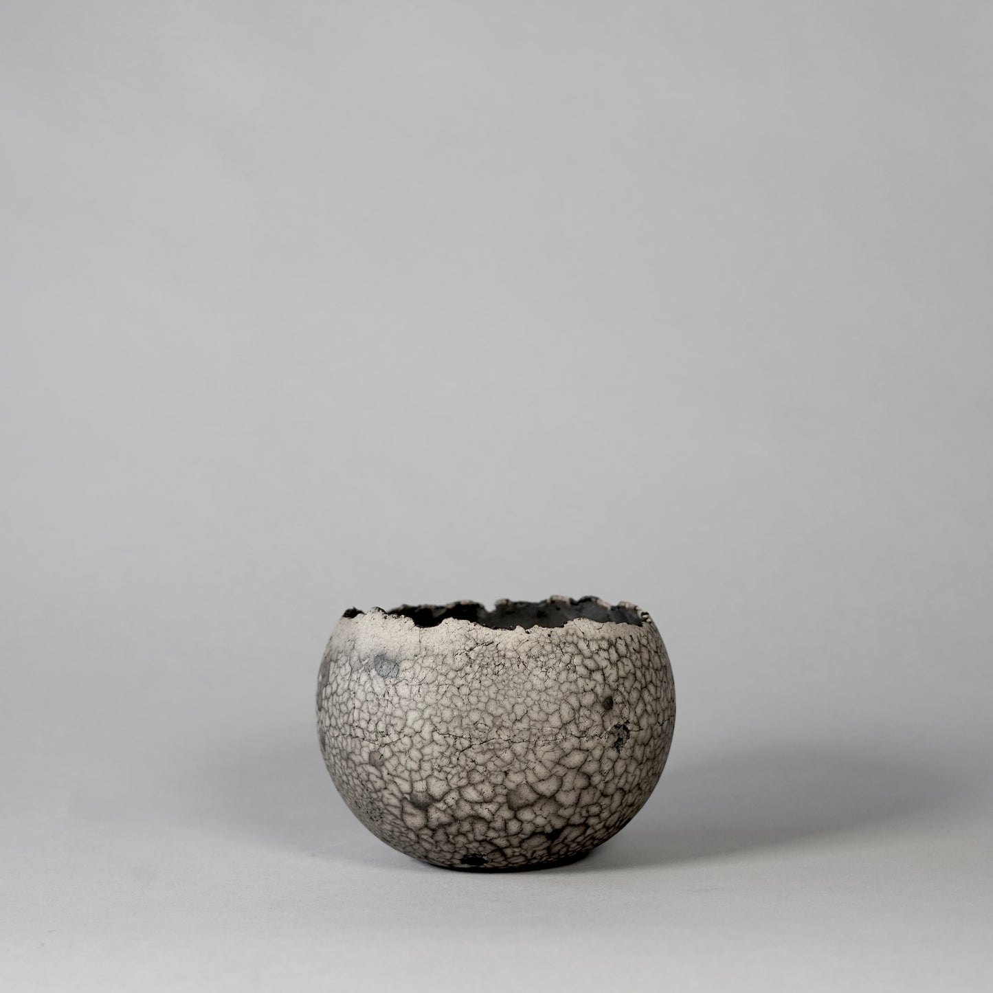 SAITO × BOTANIZE 〝RANKAKU〟BOTANIZE sp 約φ90mm