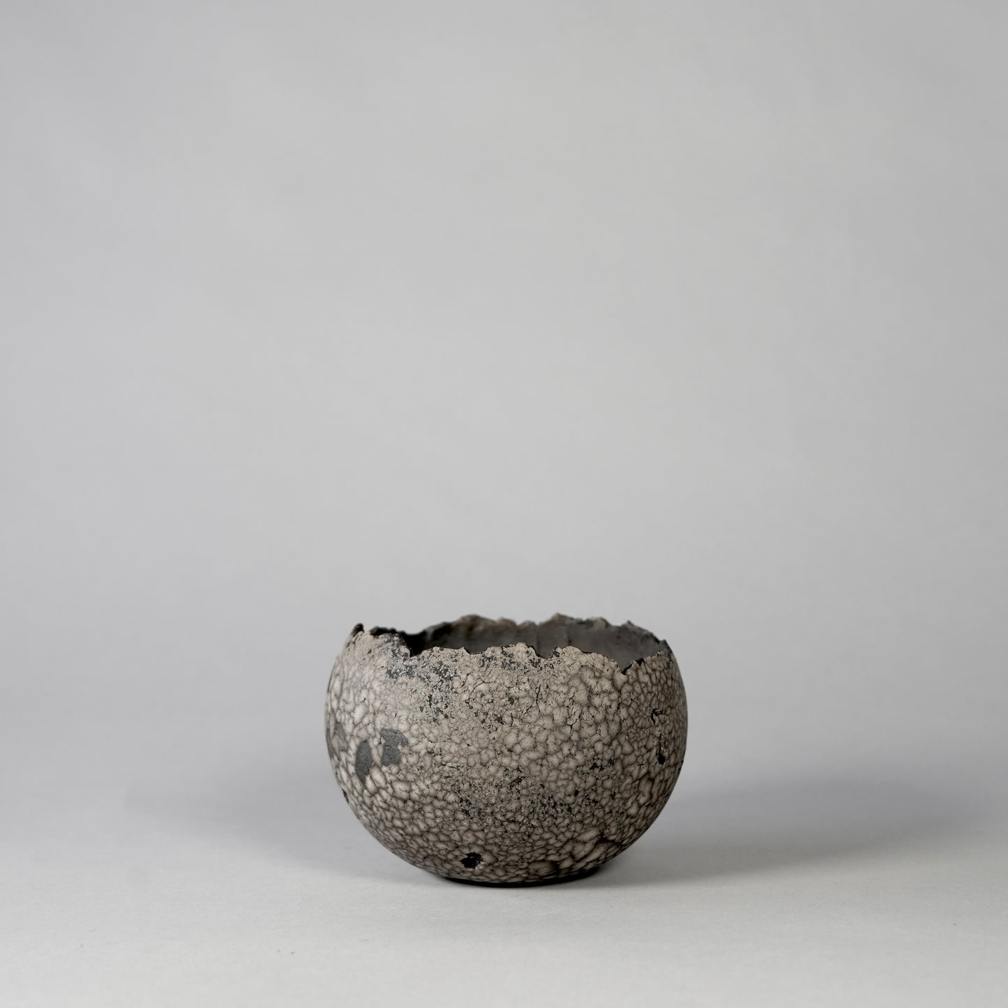 SAITO × BOTANIZE 〝RANKAKU〟BOTANIZE sp 約φ90mm