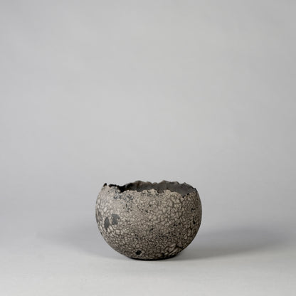 SAITO × BOTANIZE 〝RANKAKU〟BOTANIZE sp 約φ90mm