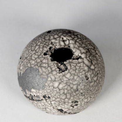 SAITO × BOTANIZE 〝RANKAKU〟BOTANIZE sp 約φ90mm