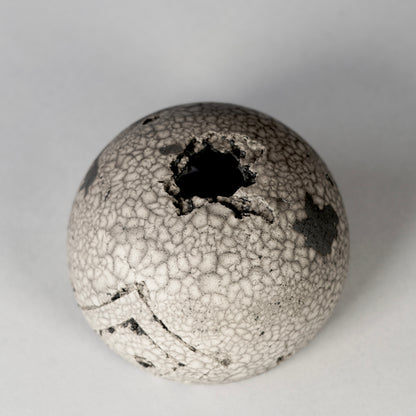 SAITO × BOTANIZE 〝RANKAKU〟BOTANIZE sp 約φ90mm