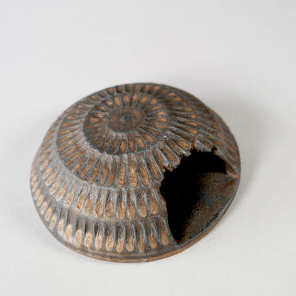 GOUJIN × BOTANIZE 〝Objet〟 --掛花--