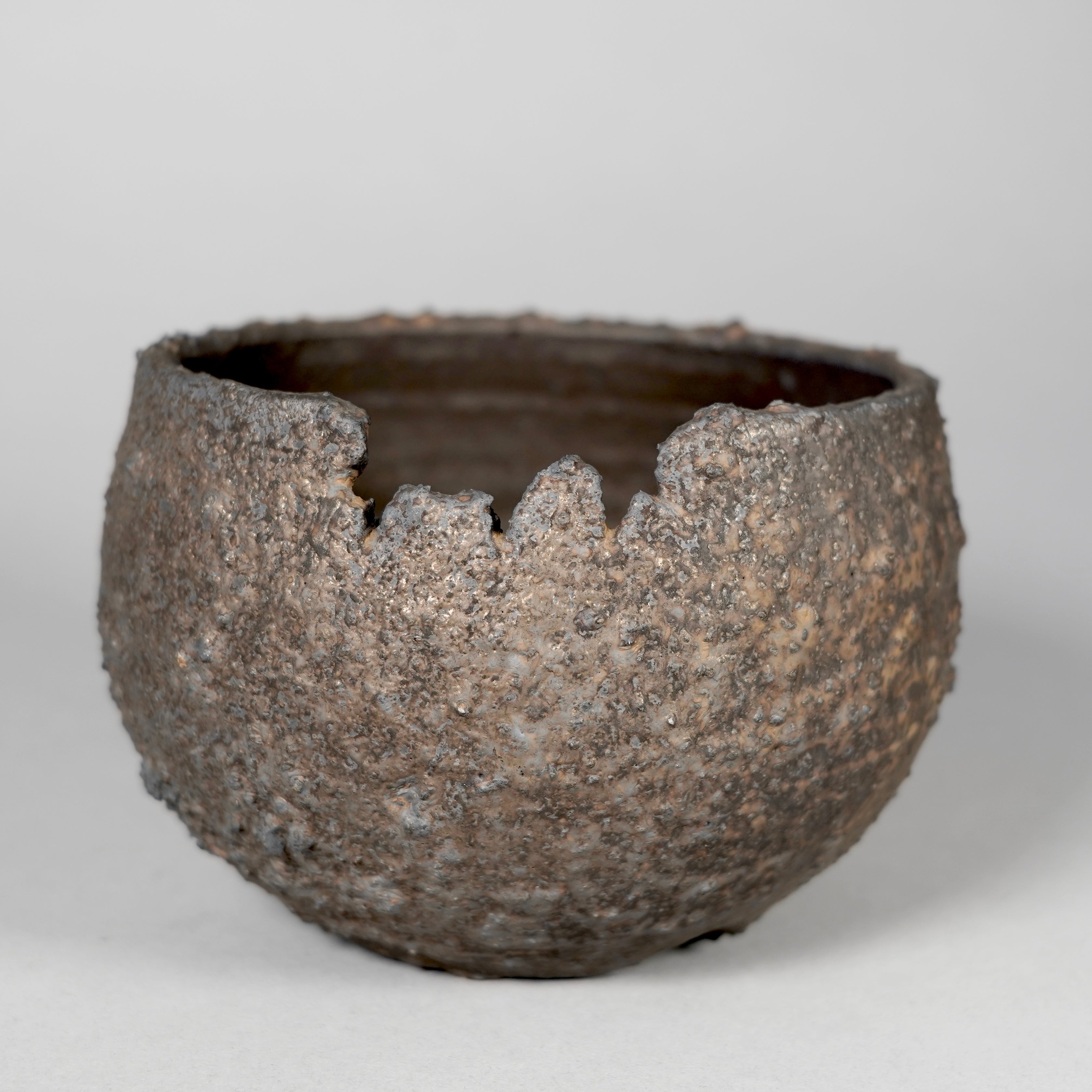 GOUJIN × BOTANIZE 〝CRATER〟 --Medium--