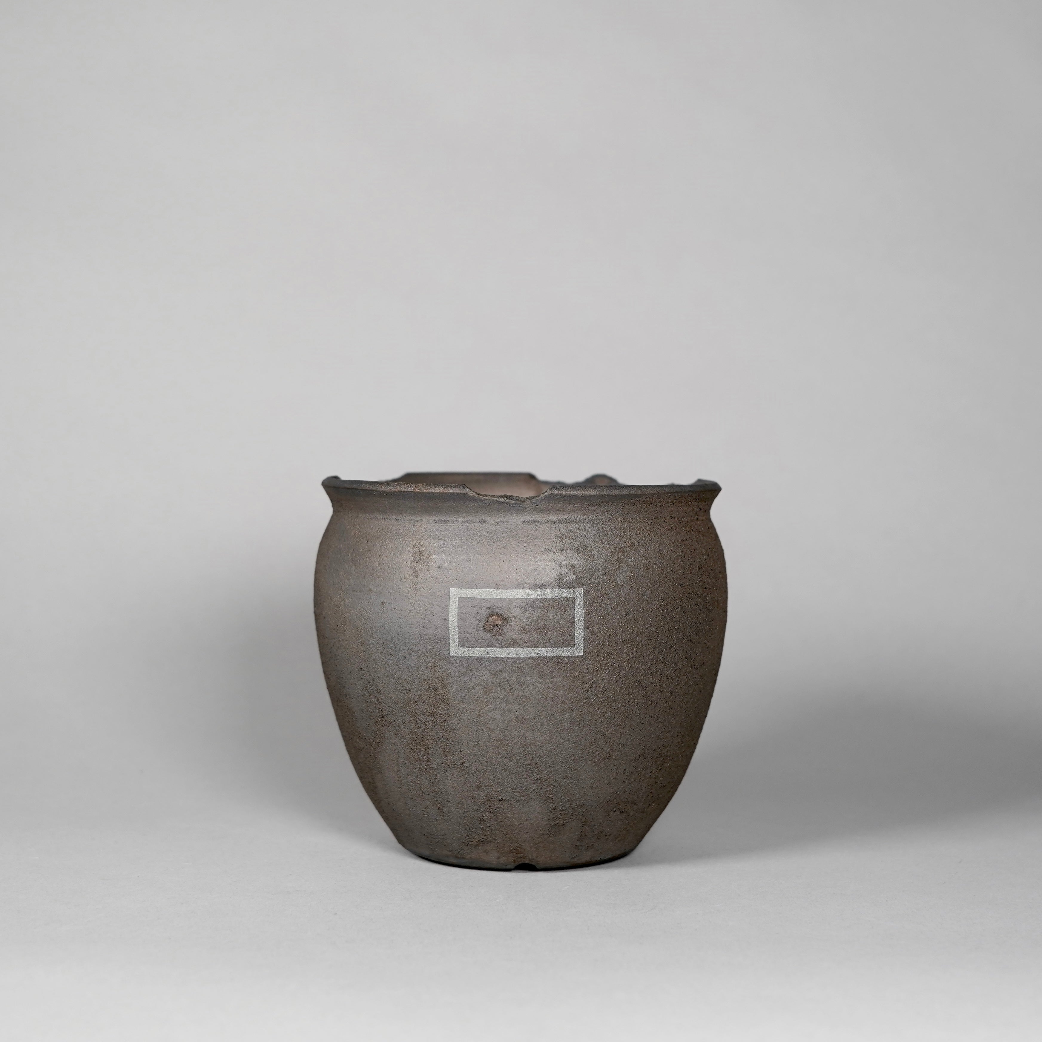 POT – BOTANIZE
