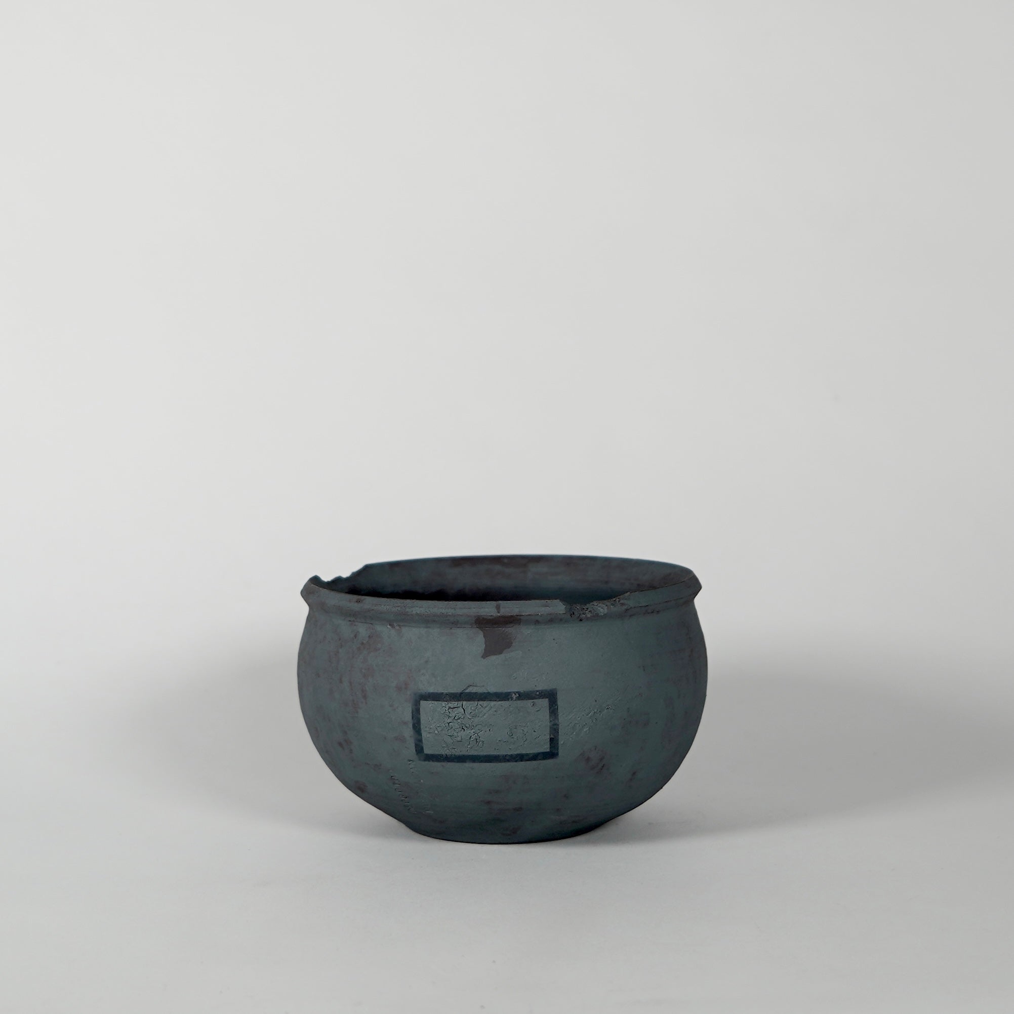 POT – BOTANIZE