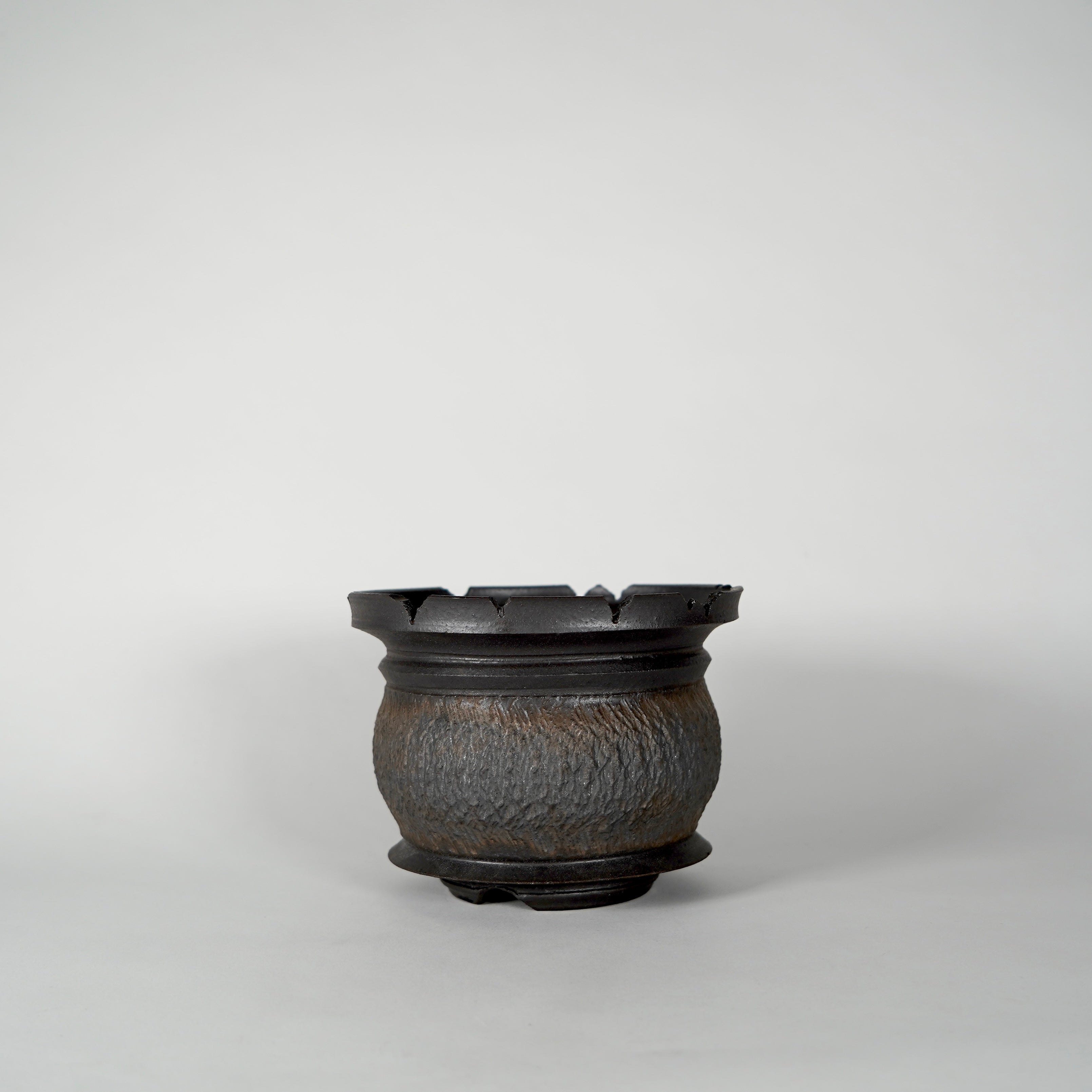 POT – BOTANIZE